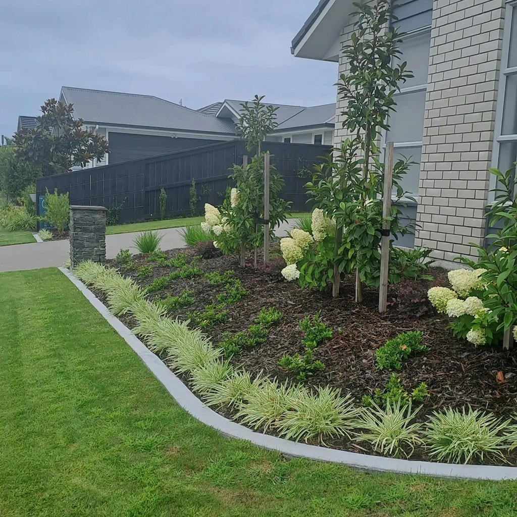 Garden renovation