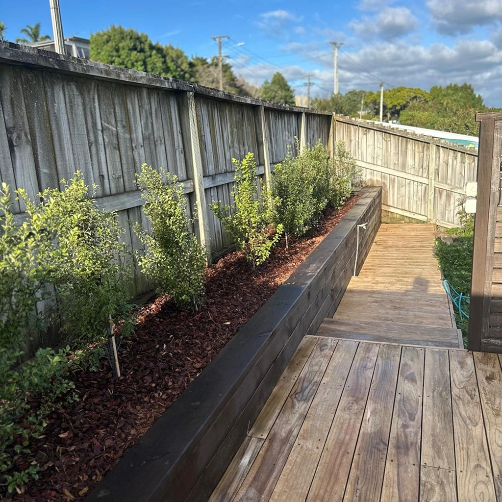 Garden renovation