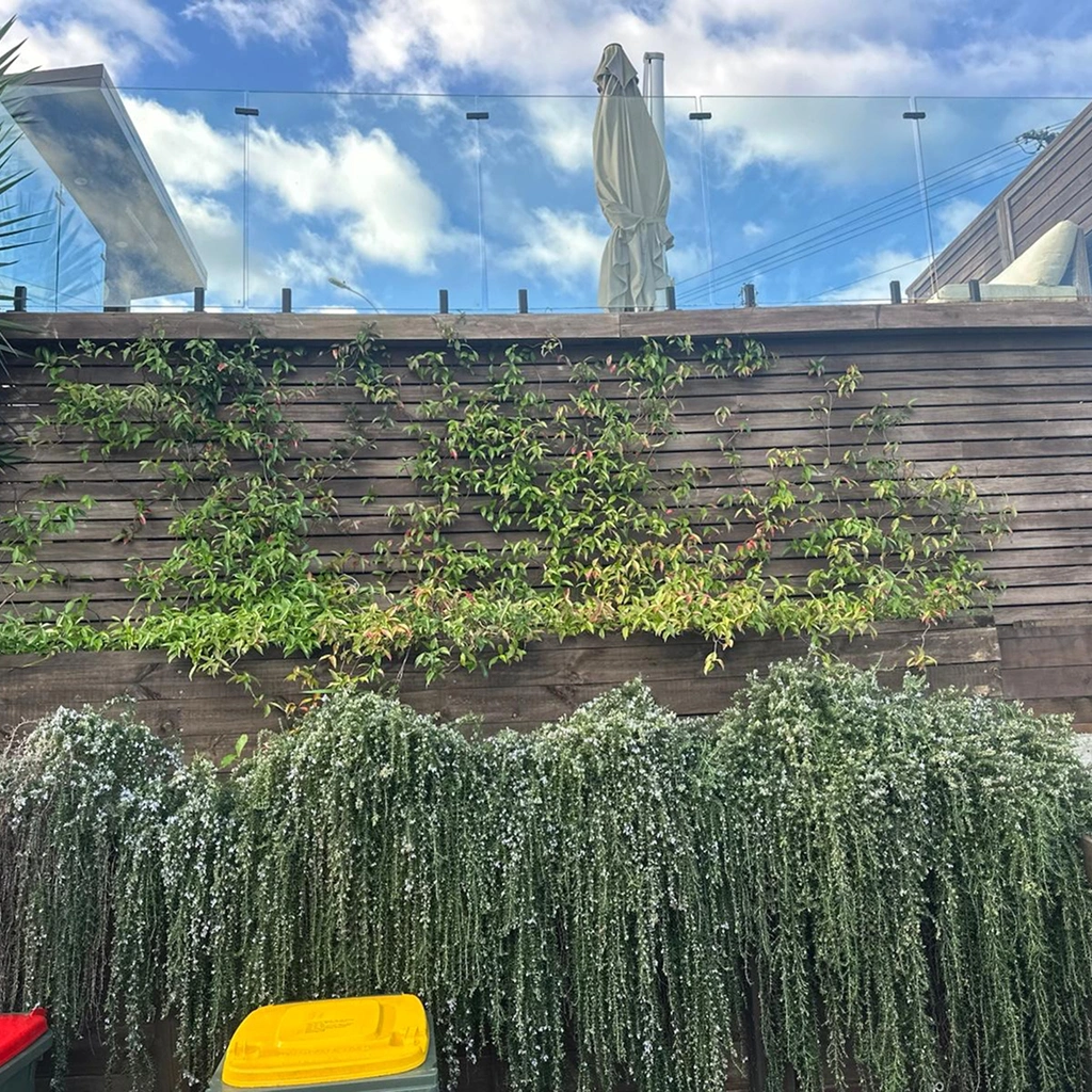 Garden renovation