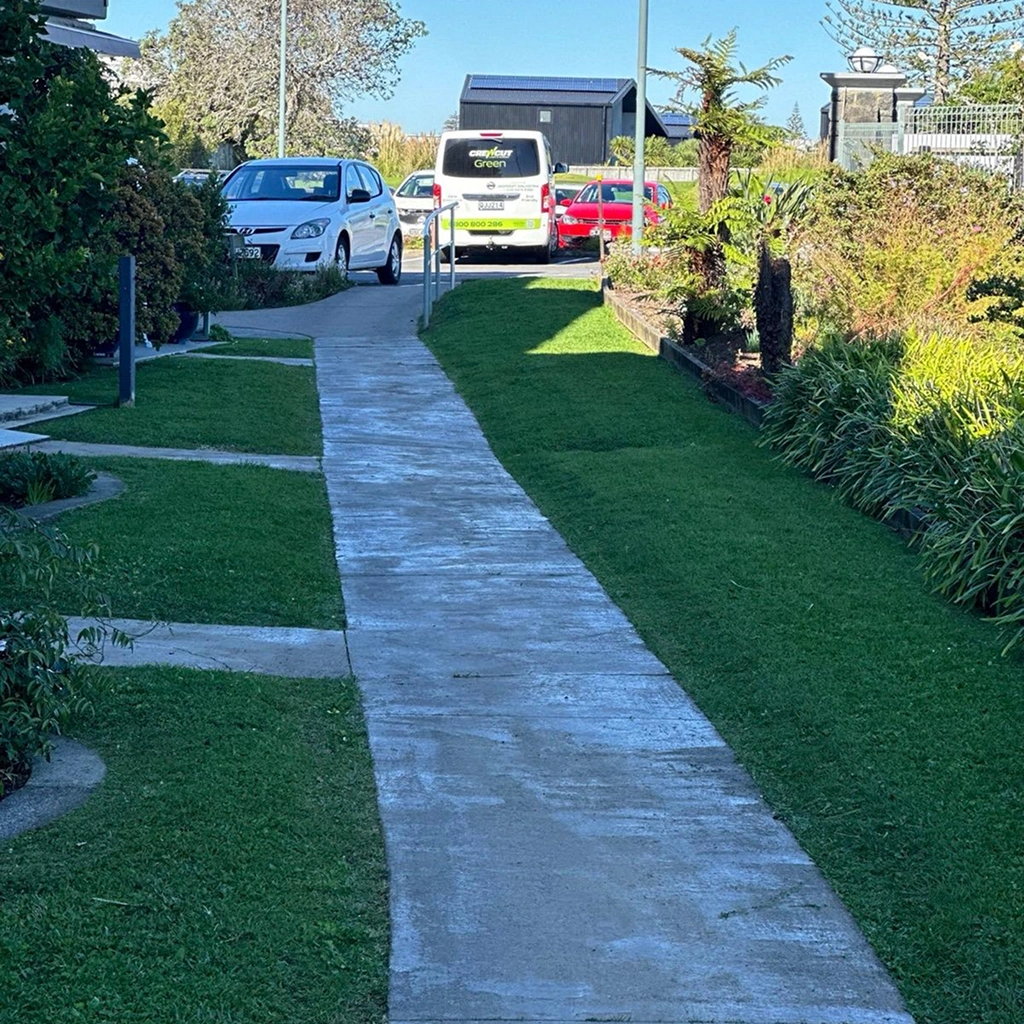 Garden renovation