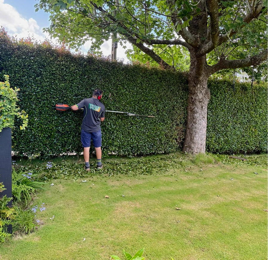 Professional hedge trimming with long-reach trimmer