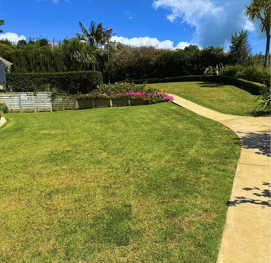 Well-maintained garden with lawn, path and plantings