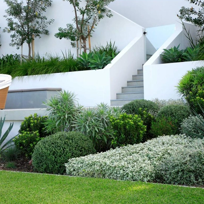 Garden transformation