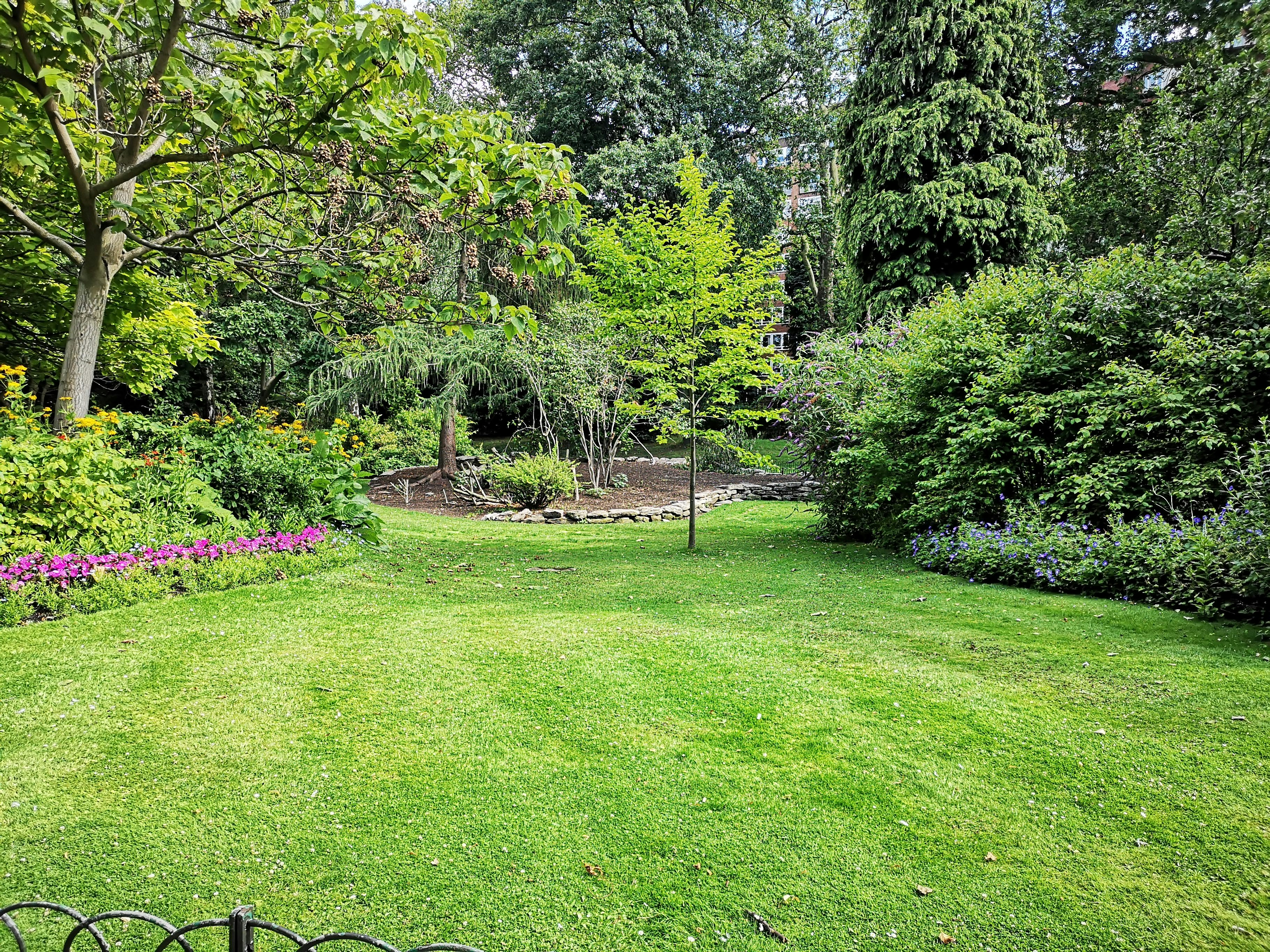 Lawn Maintenance