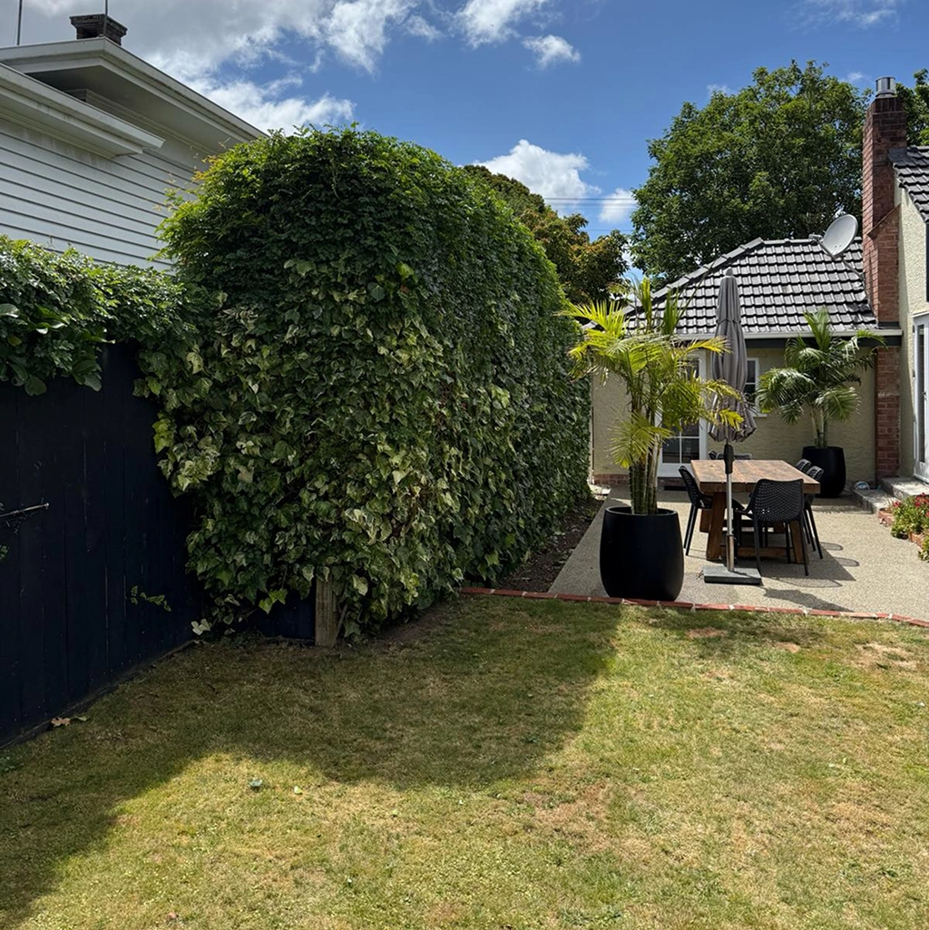 Garden transformation